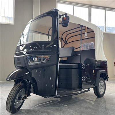 تین نئے الیکٹرک ماڈل